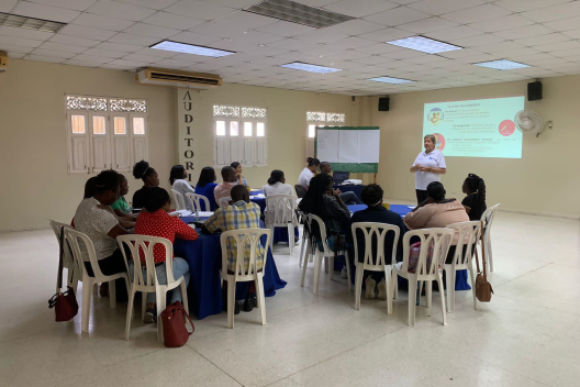 Proyecto Building Resilience: realizan capacitación para equipos técnicos de los subsocios en temas de educación en VIH y otros servicios de salud